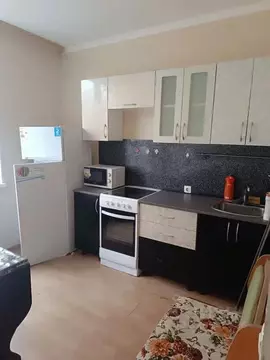 1-к кв. Московская область, Балашиха Новое Павлино мкр, ул. Троицкая, ...