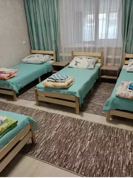 Дом в Нижегородская область, с. Дивеево ул. Ситнова, 54 (20 м)