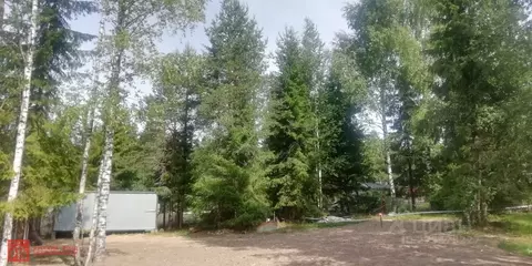 Участок в Ленинградская область, Выборгский район, Первомайское с/пос, ...