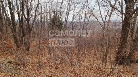 Участок в Приморский край, Артем пос. Артемовский,  (10.0 сот.)