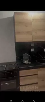 Студия Пермский край, Пермь Закамская ул., 37Б (23.0 м)