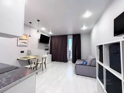 Студия Санкт-Петербург проезд Дизельный, 11к2 (28.0 м)