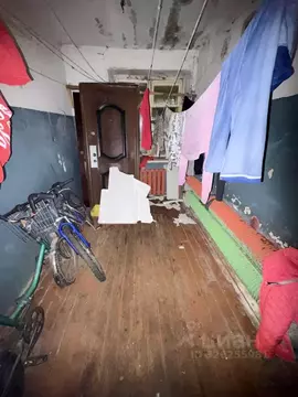 Комната Владимирская область, Собинский муниципальный округ, д. ...