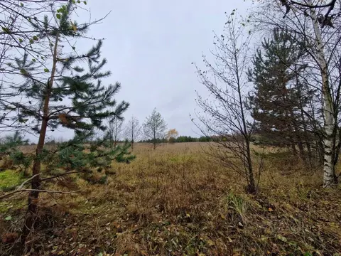 Участок в Владимирская область, Владимир д. Уварово, ул. Малая ...