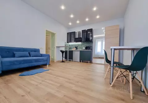 Студия Санкт-Петербург наб. Миклухо-Маклая, 1к1 (30.0 м)