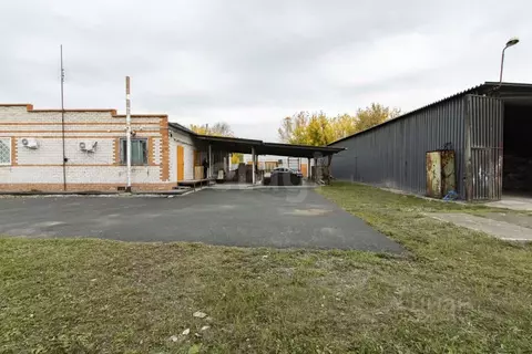 Помещение свободного назначения в Тюменская область, Тюменский ...