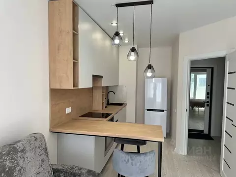 1-к кв. Псковская область, Псковский район, Завеличенская волость, д. ...