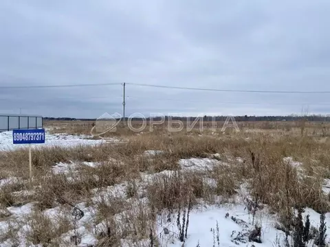 Участок в Тюменская область, Тюменский район, с. Перевалово ул. 8 ...