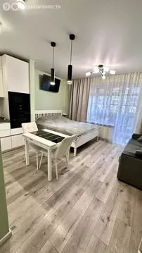 Квартира-студия: Санкт-Петербург, улица Фёдора Котанова, 3к2 (31 м)