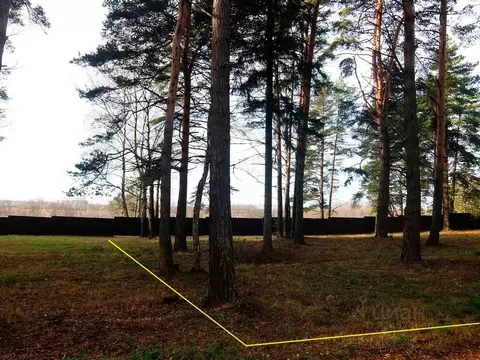 Участок в Московская область, Ступино городской округ, Сосны Вилладж ...