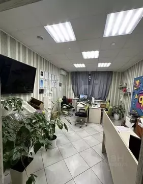 Офис в Тульская область, Тула ул. Макаренко, 9Б (67 м)