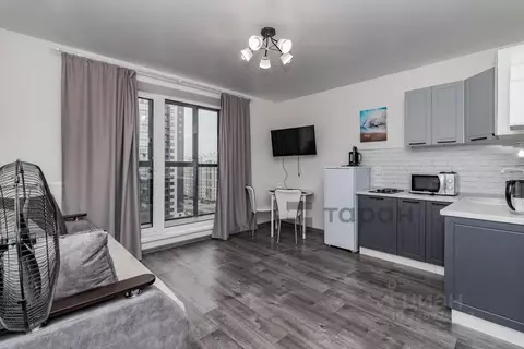 Студия Челябинская область, Челябинск Телевизионная ул., 14Б (24.2 м)