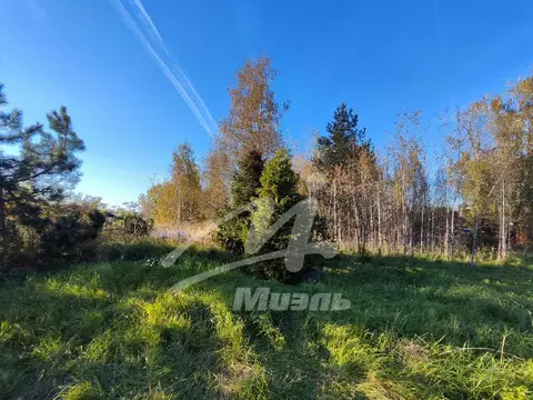 Продается участок в д. Бабаиха