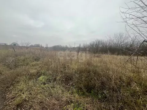 Участок в Белгородская область, Белгородский район, с. Стрелецкое, с. ...