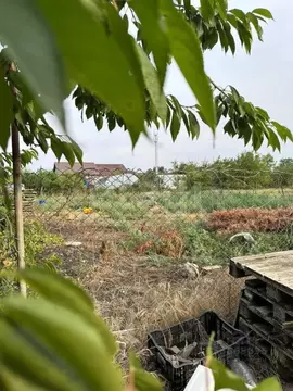 Участок в Адыгея, Майкоп городской округ, Ханская ст-ца пер. ...