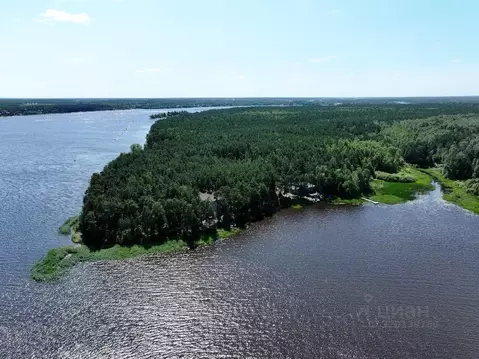 Участок в Тверская область, Конаковский муниципальный округ, д. ...