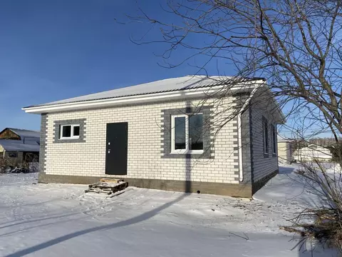 Дом в Омская область, Омский район, с. Дружино пер. Заря (85 м)