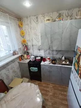 1-к кв. Челябинская область, с. Уйское ул. Пионерская, 34 (29.3 м)