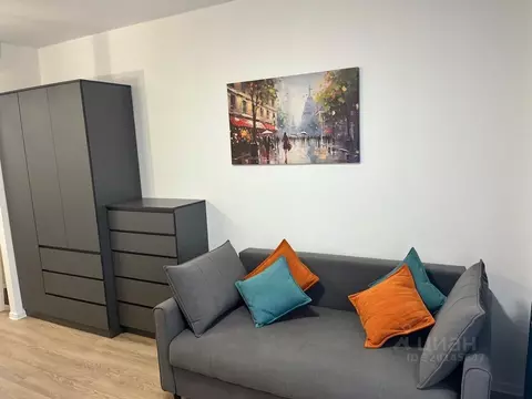 Студия Москва ул. Братьев Бромлей, 5к1 (20.0 м)