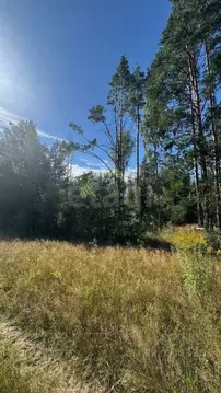 Участок в Нижегородская область, Балахнинский муниципальный округ, д. ...