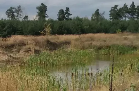 Участок в Белгородская область, Старооскольский городской округ, с. ...