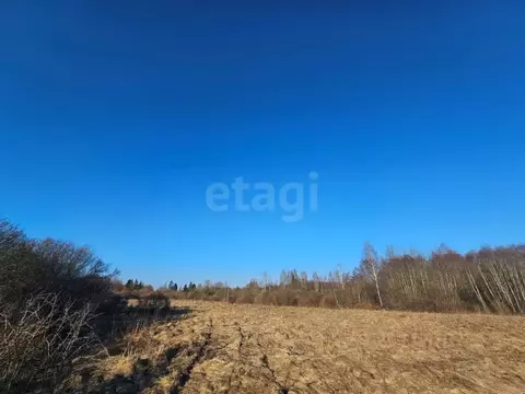 Участок в Псковская область, Псковский район, Писковичская волость, д. ...