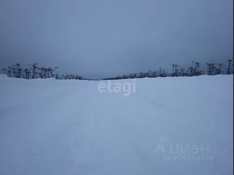 Участок в Пермский край, Пермский муниципальный округ, с. Курашим  ...