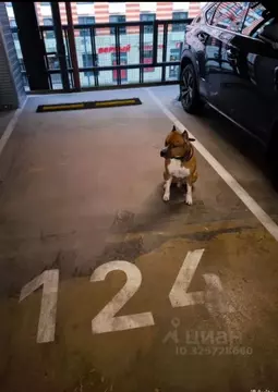 Гараж в Московская область, Одинцово ул. Рябиновая, 6 (10 м)