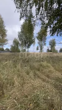 Участок в Владимирская область, Муром д. Березовка, ул. Плодовая (12.0 ...