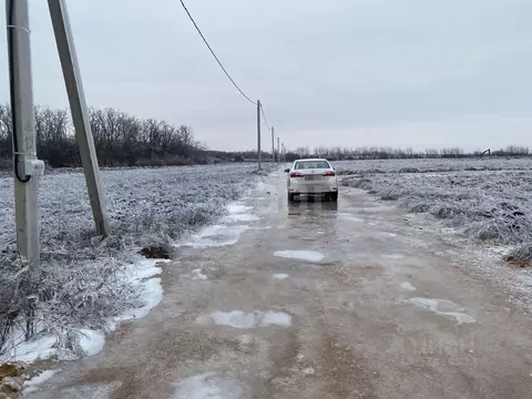 Участок в Ростовская область, Мясниковский район, Краснокрымское ...