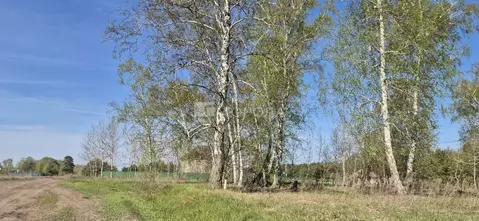 Участок в Алтайский край, Калманский район, с. Зимари  (20.0 сот.)