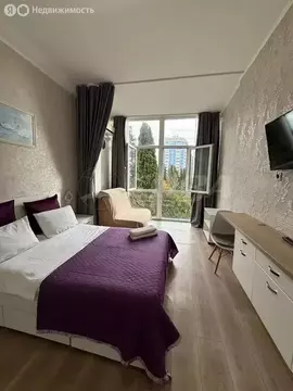 Квартира-студия: Сочи, Курортный проспект, 75к1 (20.4 м)