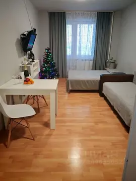 Студия Кировская область, Киров Московская ул., 121к1 (27.0 м)