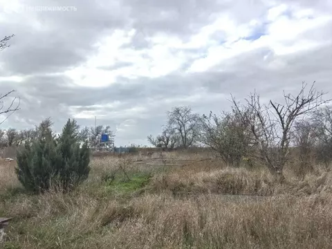 Участок в Ростов-на-Дону, садоводческое некоммерческое товарищество ...