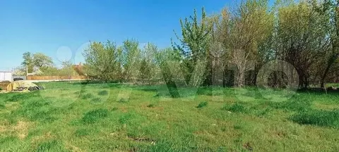 Участок в Ростовская область, Азовский район, Елизаветинское с/пос, ...