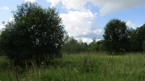 Участок в Московская область, Рузский муниципальный округ, пос. ...