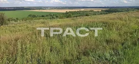 Участок в Воронежская область, Рамонский район, Русскогвоздевское ...