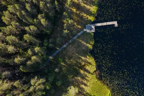 Участок в Ленинградская область, Выборгский район, Первомайское с/пос, ...
