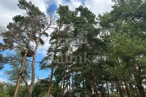 Участок в Московская область, Одинцовский городской округ, пос. ...