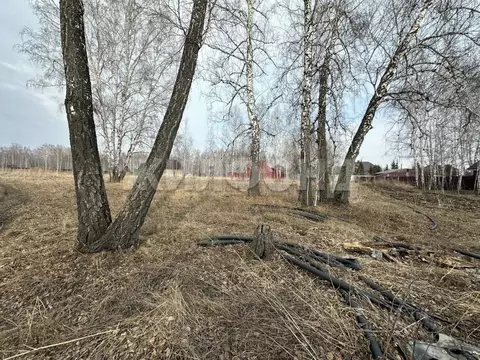 Участок в Новосибирская область, Новосибирский район, с. Боровое ул. ...