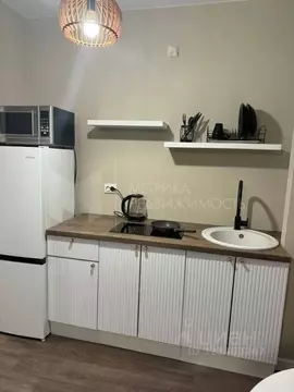 Студия Тюменская область, Тюмень ул. Первооткрывателей, 14 (24.0 м)