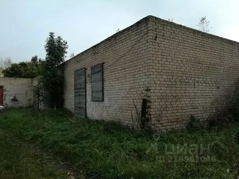 Помещение свободного назначения в Псковская область, Пыталово ул. ...