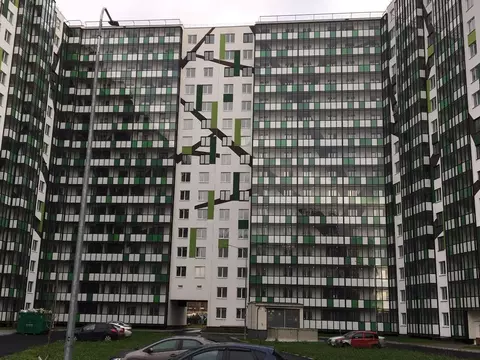 Студия Ленинградская область, Кудрово г. Всеволожский район, Заневское ...