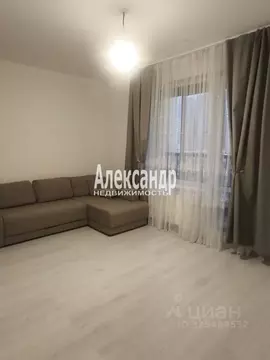 Студия Санкт-Петербург аллея Арцеуловская, 19 (25.4 м)