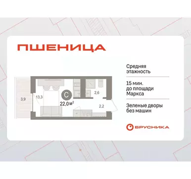 Студия Новосибирская область, Новосибирский район, Краснообск рп ...