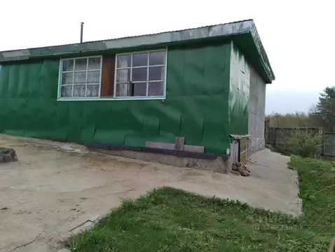 Дом в Ленинградская область, Лужский район, Серебрянское с/пос, ...