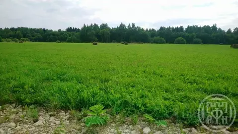 Участок в Ленинградская область, Волосовский район, Клопицкое с/пос, ...