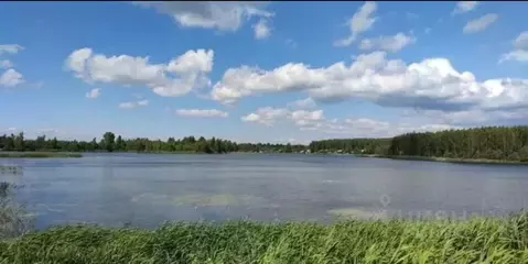 Участок в Ярославская область, Ярославский муниципальный округ, д. ...