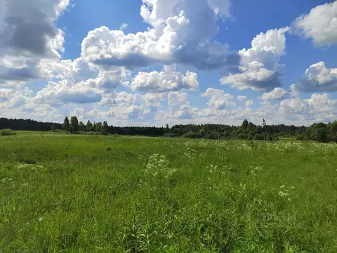 Участок в Смоленская область, Гагаринский муниципальный округ, д. ...