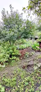 Участок в Ставропольский край, Кисловодск ул. Щербакова, 9 (9.0 сот.)